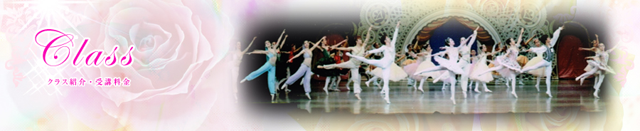 �~�i�R�o���G�X�^�W�I